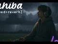 Sahiba (Slowed + Reverb) Lofi | Jasleen Royal, Stebin Ben | Vijay Deverakonda | Sad Lofi Songs