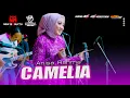 Download Lagu ANISA RAHMA CAMELIA NEW MONATA - AUDIO 45 ( DUKUHSEKTI PATI )