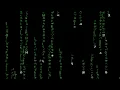 Matrix Digital Rain Version 0 2 Made with PyGame