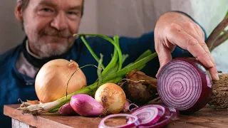 The Lowly Onion - History’s Most Important Food
