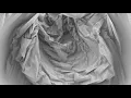 Cloth with FlexHopper in Rhino 6 Rendered View