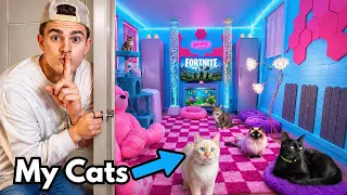 I Built My Cats Their DREAM Bedroom