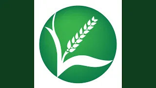 رجعنا   مطاحن روتانا للغلال                                              دندنها