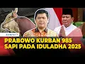 Download Lagu Prabowo Kurban 985 Sapi pada Iduladha 2025, Terberat 1,3 Ton