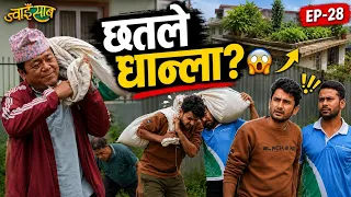 छतमा खेती अब के होला? || Natural Comedy|| ज्वाइसाब-Ep- 28