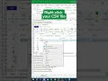 Separate CSV in Excel