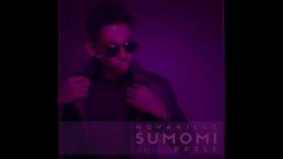 nova sumomi ft dpzle art video