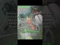 Download Lagu lagu Yospan papua WAISAMBA