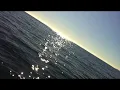 Josh Rouse - Sunshine
