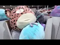 Squishmallows Shop with me