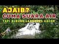 Download Lagu Terapi Suara Sungai Asli – Bikin Burung Gacor dan Tenang Lagi