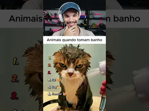 Quando animais tomam banho