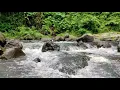 Download Lagu Peaceful Birdsong \u0026 Soothing Water | SUARA AIR MENGALIR DAN SUARA ALAM YANG ENAK DIDENGAR