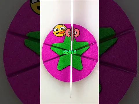 When You Go Home Sick..💀🤣 Sound: @tyler.vitelli #funny #storytime #satisfying #comedy