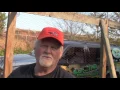 How to raise Quail by Quail Hollow Bird Farm Raising Bobwhite Quail