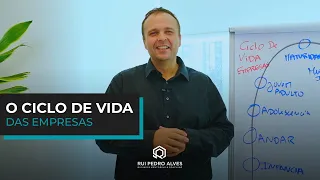 Ciclo de Vida das Empresas