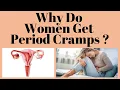 Download Lagu Why Do Women Get Period Cramps ?