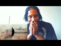 Vvilderness-Devour the Sun Reaction!