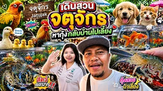 เดินสวนจัตุจักร หากุ้งมาเลี้ยง Happy Channel
