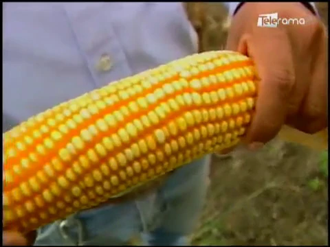 Ecuador Agropecuario 29-09-2018