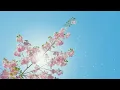 Download Lagu Best Pop Music P8 ( Bebas Hak Cipta, No Copyright) - W Music Version