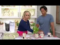 Temp-tations Seasonal 18-oz Footed Figural Mug on QVC