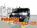 Paradise with Bola -Interview with Daniel Wilson
