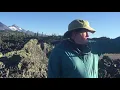 Primary Succession in Oregon Lava