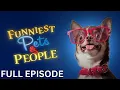 Download Lagu Good Vibes Only | Funniest Pets and People | Season 4 | Episode 02