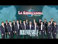 La Arrolladora Banda El Limón De René Camacho - Irreversible (Animated Video)