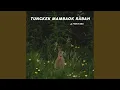 Download Lagu Tungkek Mambaok Rabah