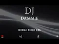 Rehle Mere Kol DJ Dammie  Simran Choudhary | Aditya Rikhari | 2025 Punjabi Remix | Love Song