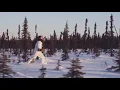 Download Lagu Portugal. The Man - Tanana