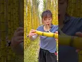 Download Lagu Nikmati hidup dengan menyantap tebu yang begitu manis segar dengan kebun tebu alami yang indah #nikmati #bertani