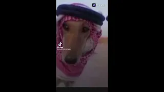 هذا كفو هذا نعم هذا الوفا 