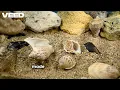 Limestone Explained Formation Uses Earth Science Facts