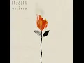 Wrecked - Imagine Dragons