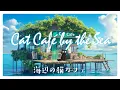 Download Lagu A Small Cat Cafe Floating on the Sea with Pleasant Bossa Nova BGM | Seaside Cat Cafe | BGM