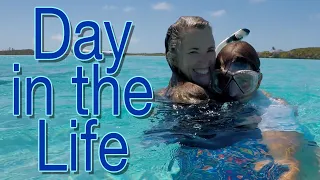 A typical day aboard Clarity at anchor.