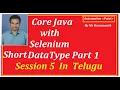 Session 5 Java Short DataType Part 1 for Selenium In Telugu By Mr Hanumanth