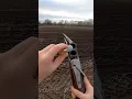 Download Lagu Pheasant hunt on a farm