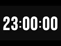 23 Hour Timer