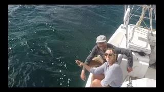 Sailing life | Electrical issues, fishing and birthdays- Ep. 33