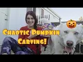 Sokah The Husky Chaotic Pumpkin Carving With a Husky EP 110