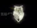 What So Not - Beautiful (feat. Winona Oak) (VOLAC Remix)