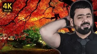 زيد الحبيب يا بعد روحي مع كلمات الاغنية من نوفلن البناء 