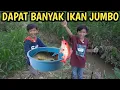 Download Lagu ADNAN MANCING IKAN BARENG KAK RIO DI PENGAIRAN DAPET IKAN BESAR