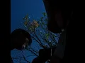 Download Lagu Cinta tak haru memiliki cover dari.ig@rendyyarifinn