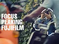 Focus Peaking with Fujifilm X-Pro3