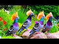 Download Lagu AI Bird: The Future of Flying Intelligence | Ultra-Realistic Bird Animation
